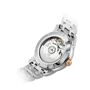 Seagull Flywheel Mechanical Watch Power Reserve Date Calendar Automatic Men's Watch 217.426