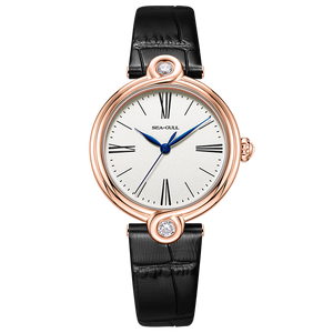 Seagull Infinity Series Mobius Ring Pattern Elegent Women's Automatic Watch 1043L