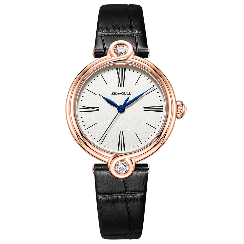 Seagull Infinity Series Mobius Ring Pattern Elegent Women's Automatic Watch 1043L